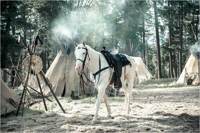 Lone Ranger, Naissance d'un héros : Photo