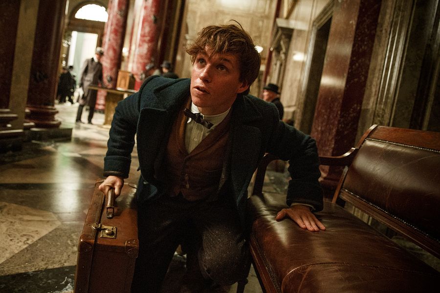 Les Animaux Fantastiques 1 Netflix France Qui est Eddie Redmayne alias Norbert Dragonneau dans Les Animaux