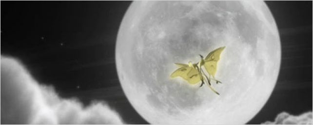 « Luna » - Tout est bon, dans le cocon 