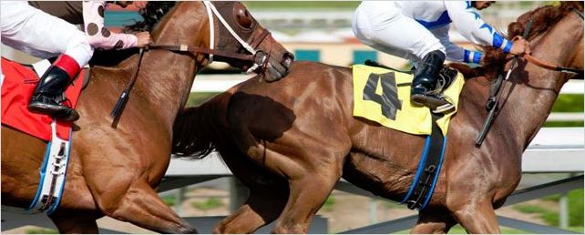 HBO et la production de "Luck" poursuivies en justice !