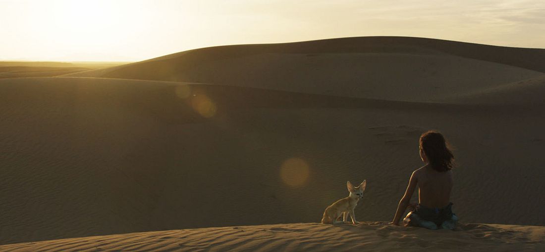 Photo du film L'Enfant Du Désert