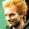 Photo Sting