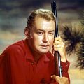 Photo Alan Ladd