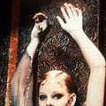 Photo Alan Parker