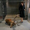 Photo Fanny Ardant