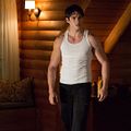 Photo Steven R. McQueen