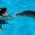 Photo Nathan Gamble