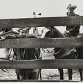 Photo Paul Newman