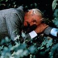 Photo Jason Robards