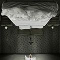 Photo Ashley Bell