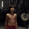 Photo Neel Sethi