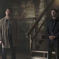 Photo Adam Fergus