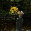Photo Andy Goldsworthy