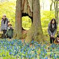 Photo Tomoko Yamaguchi