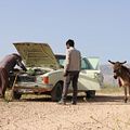 Photo Hadi Mohaghegh