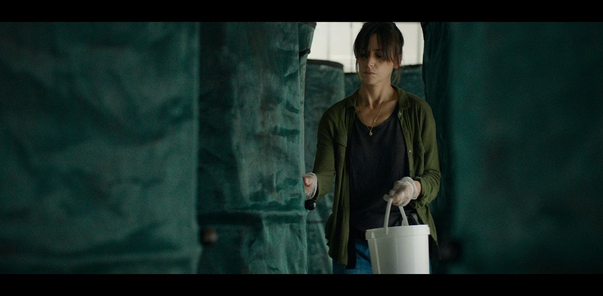 la nuee bande annonce vf de la nuee au cinema lyon comoedia