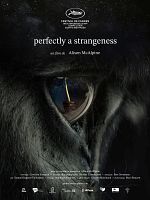poster de Une parfaite étrangeté