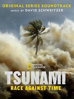 poster de Tsunami 2004 : La vague mortelle