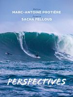 poster de Perspectives