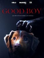 poster de Good Boy