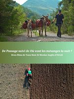 poster de De Passage + Où vont les mésanges la nuit ?