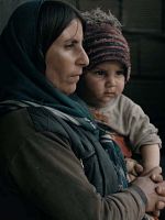 poster de Le Mari de Mme Iran