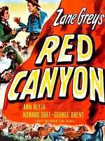 poster de Le Mustang noir