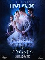 poster de Le lac des cygnes