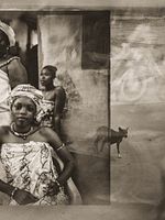 poster de Le chien qui boit le thé