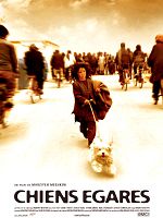 poster de Chiens égarés