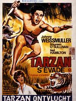 poster de Tarzan s'évade