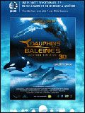 poster de Dauphins et baleines 3D, nomades des mers