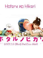 image de Glow of Fireflies