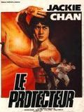 poster de Le Protecteur