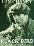 poster de L'Oiseau noir