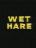 poster de Wet Hare