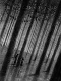 poster de La ballade sauvage (Shifting Waters)