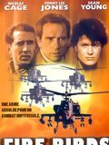 poster de Fire Birds