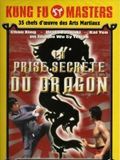 poster de La prise secrète du dragon
