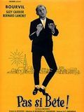 poster de Pas si bête