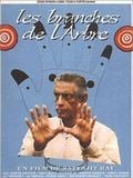 poster de Les Branches de l'arbre