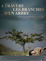 poster de A travers les branches d'un arbre