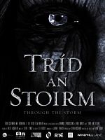 poster de Through the Storm