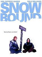 poster de L'Enfer blanc (TV)