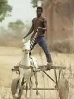 poster de Les Pirogues des hautes terres (TV)