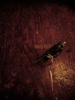 poster de Sur le fil du rasoir