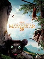 poster de Madagascar, l'île des Lémuriens
