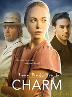 poster de Love Finds You In Charm