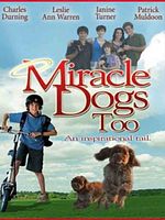 poster de Les Magichiens