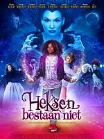 poster de Heksen bestaan niet